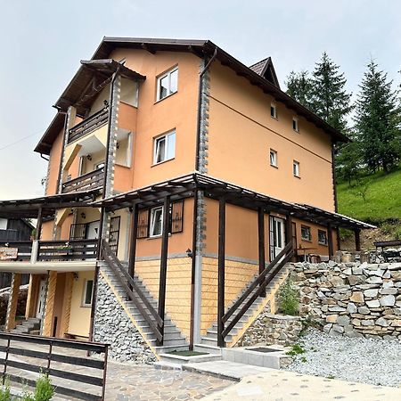 Pensiunea 3Flori De Colt Hotel Statjunea Borsa Exterior photo