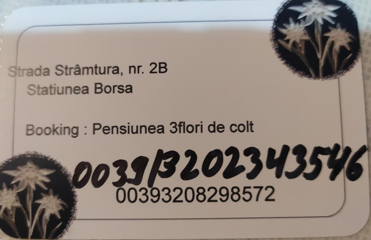 Pensiunea 3Flori De Colt Hotel Statjunea Borsa Exterior photo