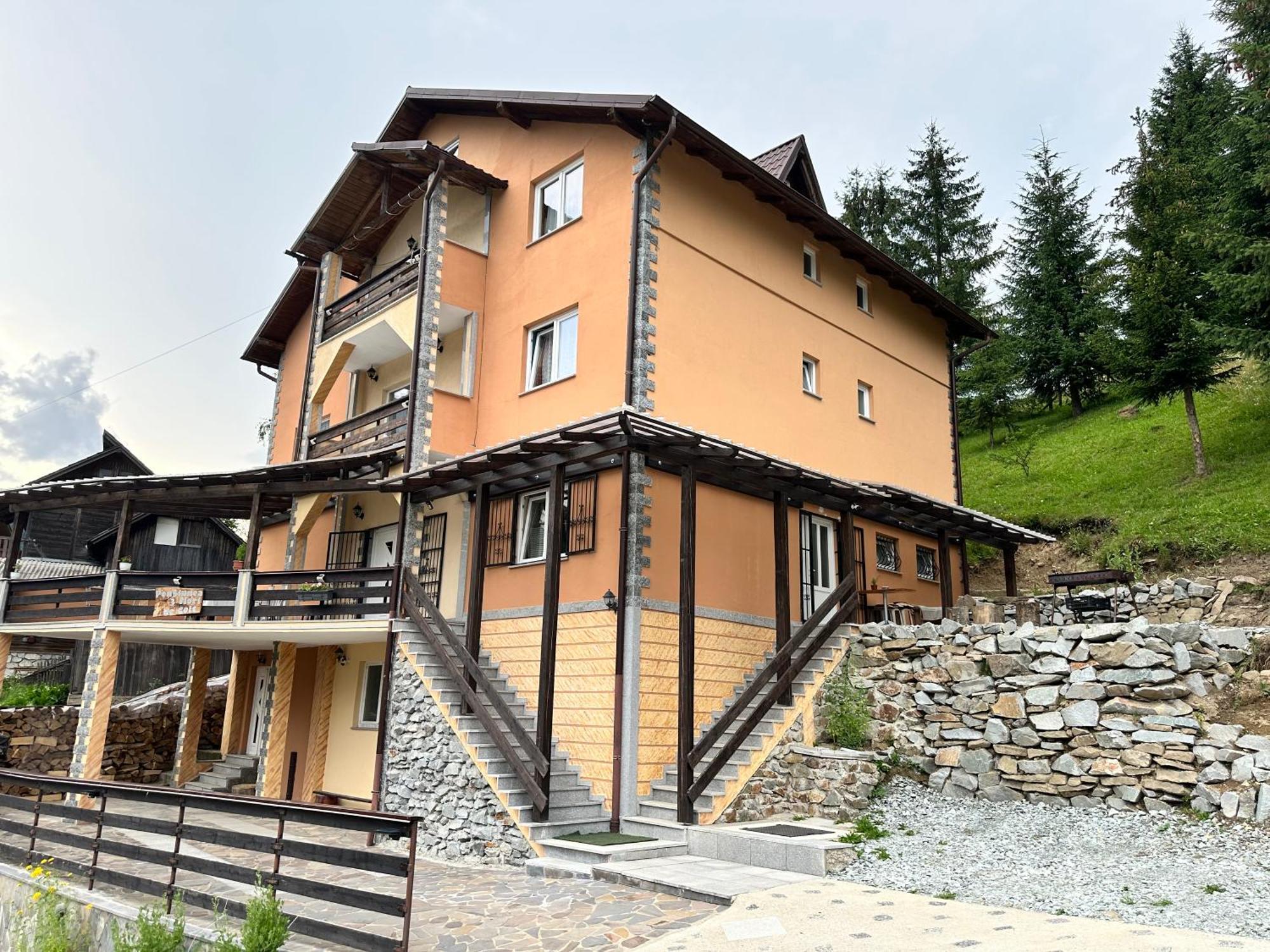 Pensiunea 3Flori De Colt Hotel Statjunea Borsa Exterior photo