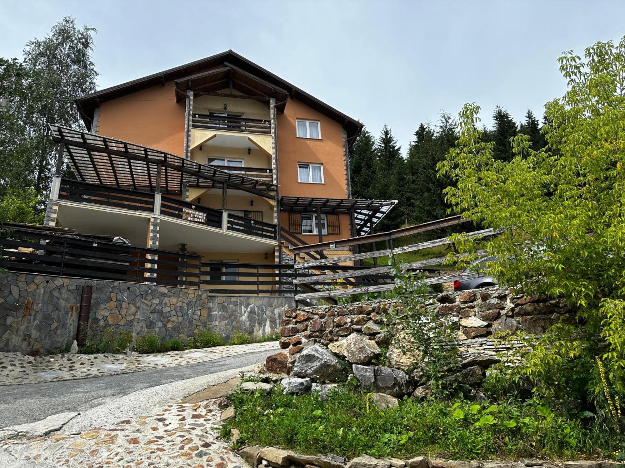 Pensiunea 3Flori De Colt Hotel Statjunea Borsa Exterior photo